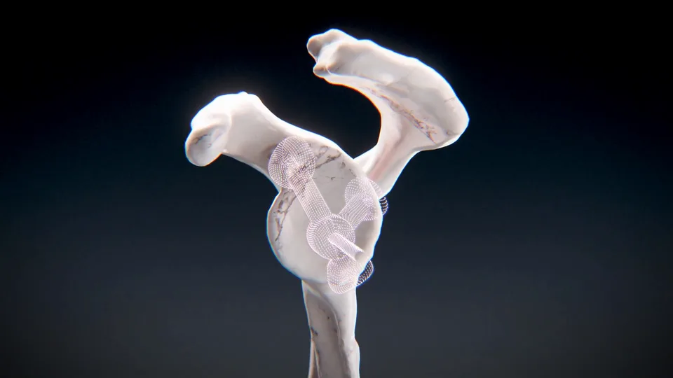 Titanium Strut - image 4